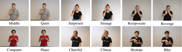 Figure 3 for Global-local Enhancement Network for NMFs-aware Sign Language Recognition