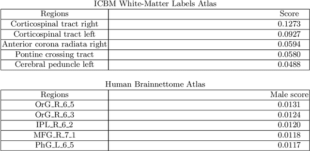 Figure 4 for Interpretable Deep Learning for Pattern Recognition in Brain Differences Between Men and Women