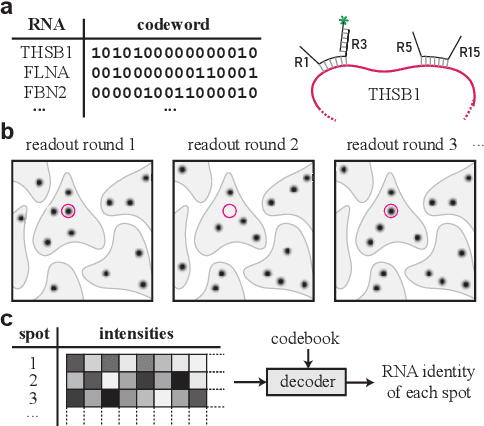 Figure 1 for A Coding Theory Perspective on MultiplexedMolecular Profiling of Biological Tissues