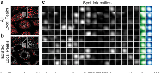 Figure 2 for A Coding Theory Perspective on MultiplexedMolecular Profiling of Biological Tissues