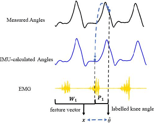 Figure 3 for Continuous Prediction of Lower-Limb Kinematics From Multi-Modal Biomedical Signals