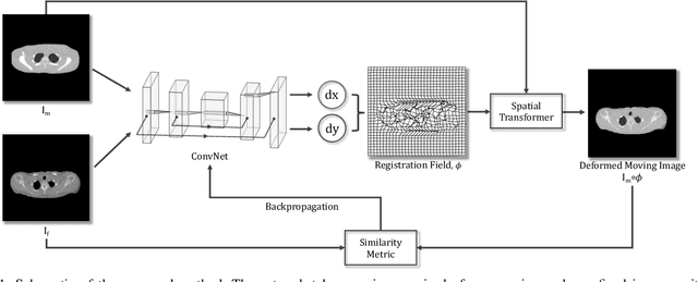 Figure 1 for Generating Patient-like Phantoms Using Fully Unsupervised Deformable Image Registration with Convolutional Neural Networks