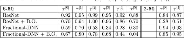 Figure 2 for An Optimal Time Variable Learning Framework for Deep Neural Networks