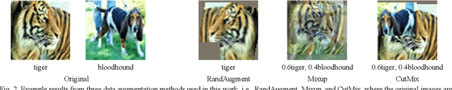 Figure 2 for A General Multiple Data Augmentation Based Framework for Training Deep Neural Networks