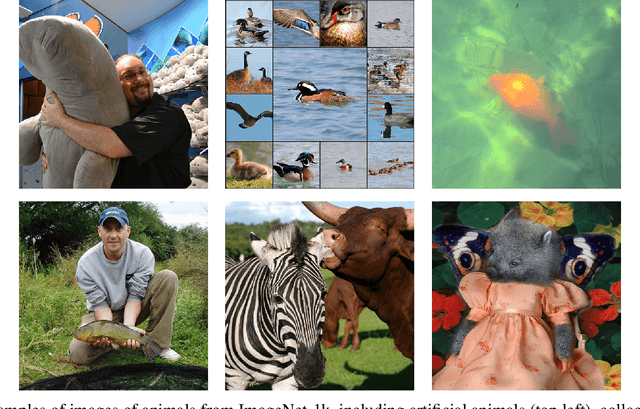 Figure 1 for Bugs in the Data: How ImageNet Misrepresents Biodiversity