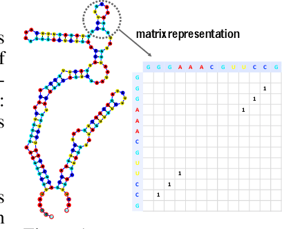 Figure 1 for RNA Secondary Structure Prediction By Learning Unrolled Algorithms
