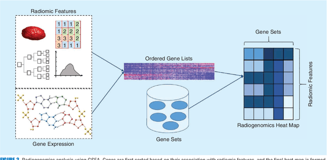 Figure 4 for From Hand-Crafted to Deep Learning-based Cancer Radiomics: Challenges and Opportunities