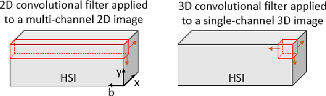 Figure 1 for Unsupervised segmentation of biomedical hyperspectral image data: tackling high dimensionality with convolutional autoencoders