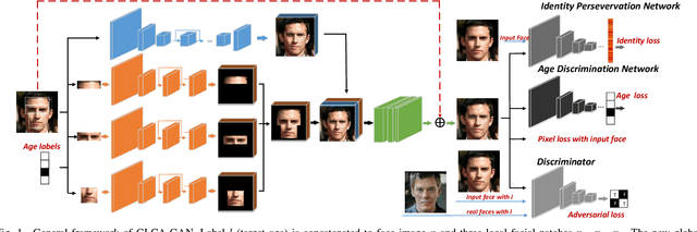 Figure 1 for Global and Local Consistent Age Generative Adversarial Networks