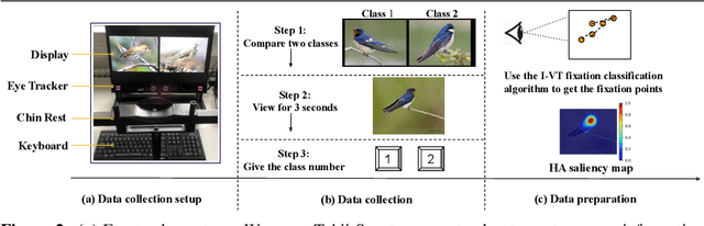 Figure 3 for Human Attention in Fine-grained Classification