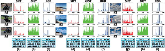 Figure 1 for Multi-view Vector-valued Manifold Regularization for Multi-label Image Classification