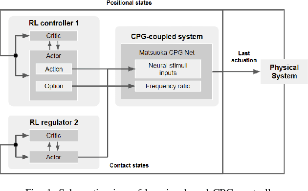 Figure 1 for Learning Contact-aware CPG-based Locomotion in a Soft Snake Robot