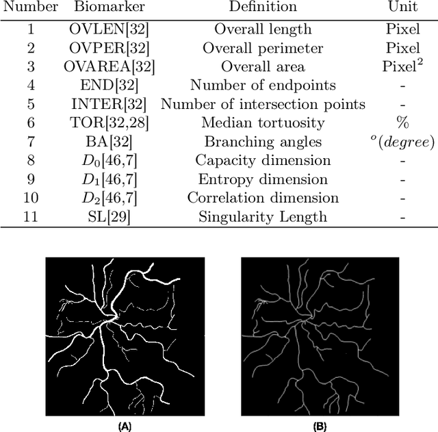 Figure 3 for PVBM: A Python Vasculature Biomarker Toolbox Based On Retinal Blood Vessel Segmentation