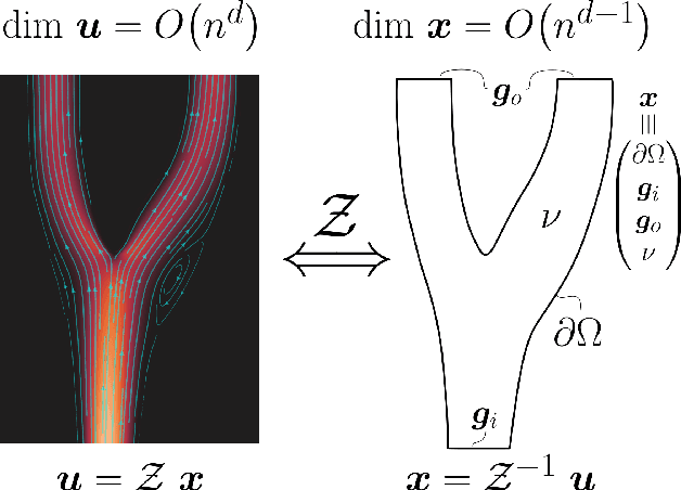 Figure 1 for Physics-informed compressed sensing for PC-MRI: an inverse Navier-Stokes problem