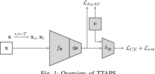 Figure 1 for TTAPS: Test-Time Adaption by Aligning Prototypes using Self-Supervision