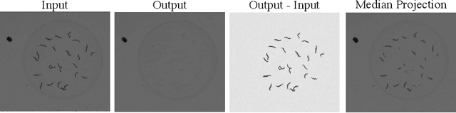 Figure 2 for Semantic filtering through deep source separation on microscopy images