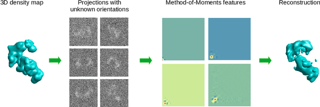 Figure 1 for Orthogonal Matrix Retrieval with Spatial Consensus for 3D Unknown-View Tomography