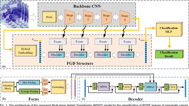 Figure 1 for MSHT: Multi-stage Hybrid Transformer for the ROSE Image Analysis of Pancreatic Cancer