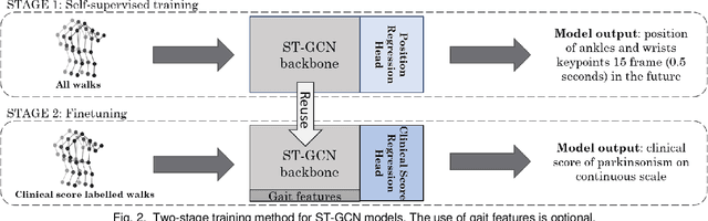 Figure 4 for Estimating Parkinsonism Severity in Natural Gait Videos of Older Adults with Dementia