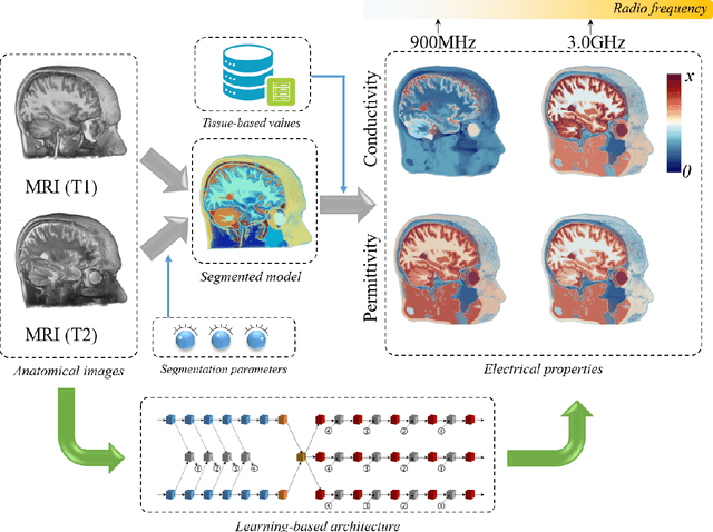 Figure 1 for Learning-based estimation of dielectric properties and tissue density in head models for personalized radio-frequency dosimetry