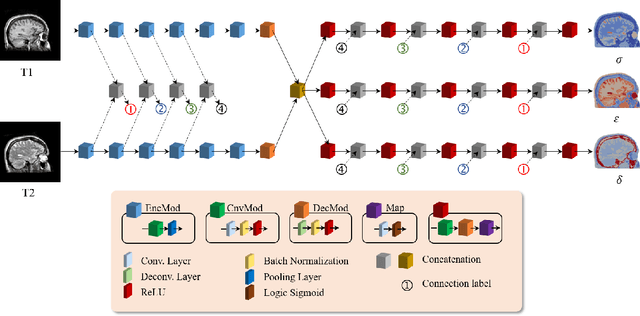 Figure 3 for Learning-based estimation of dielectric properties and tissue density in head models for personalized radio-frequency dosimetry