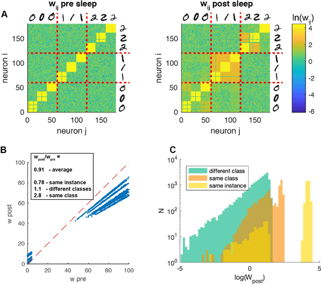 Figure 2 for Sleep-like slow oscillations induce hierarchical memory association and synaptic homeostasis in thalamo-cortical simulations