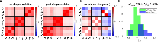 Figure 3 for Sleep-like slow oscillations induce hierarchical memory association and synaptic homeostasis in thalamo-cortical simulations