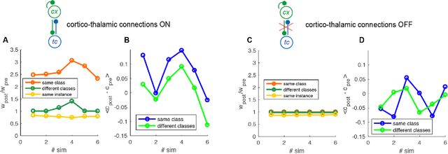 Figure 4 for Sleep-like slow oscillations induce hierarchical memory association and synaptic homeostasis in thalamo-cortical simulations