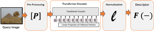 Figure 1 for Investigating the Vision Transformer Model for Image Retrieval Tasks