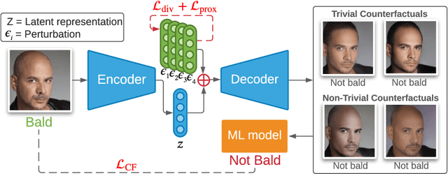 Figure 1 for Beyond Trivial Counterfactual Explanations with Diverse Valuable Explanations