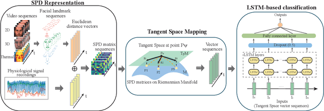 Figure 1 for Fusion of Physiological and Behavioural Signals on SPD Manifolds with Application to Stress and Pain Detection