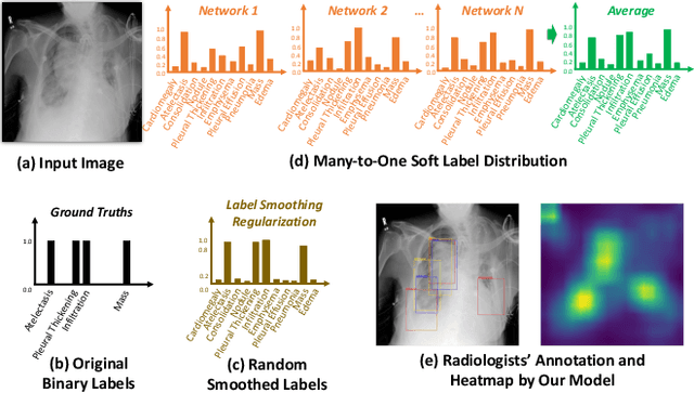 Figure 1 for Many-to-One Distribution Learning and K-Nearest Neighbor Smoothing for Thoracic Disease Identification