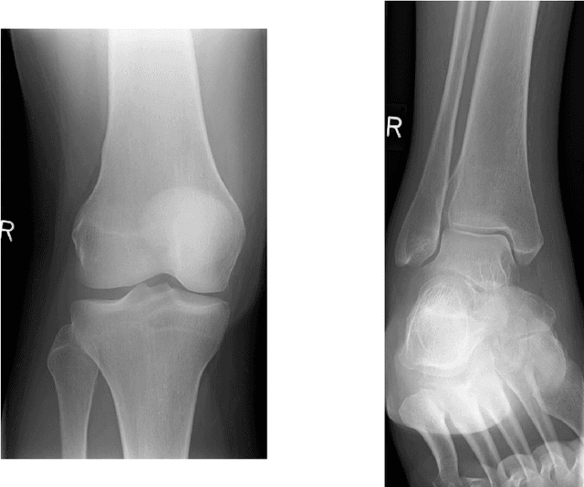 Figure 4 for Analysis of a low memory implementation of the Orthogonal Matching Pursuit greedy strategy