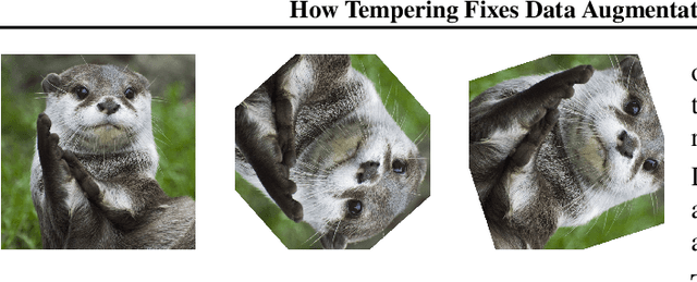 Figure 1 for How Tempering Fixes Data Augmentation in Bayesian Neural Networks