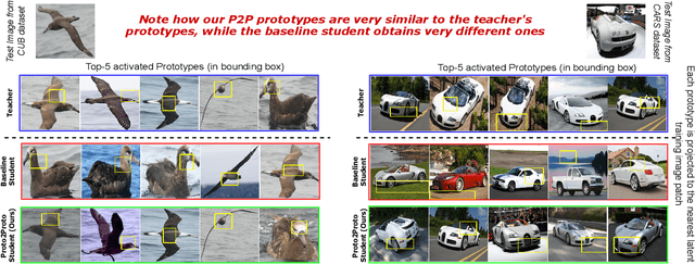 Figure 1 for Proto2Proto: Can you recognize the car, the way I do?