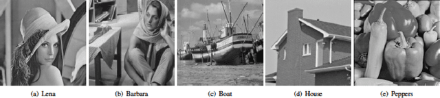 Figure 2 for Variational based Mixed Noise Removal with CNN Deep Learning Regularization