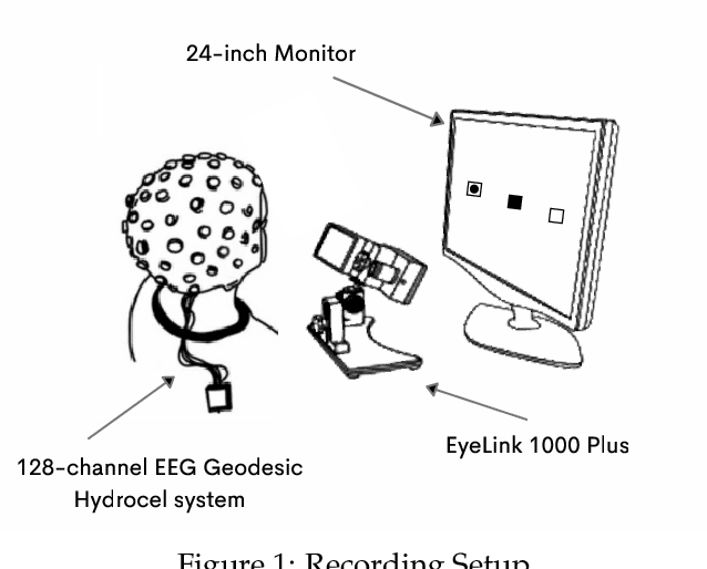 Figure 2 for EEGEyeNet: a Simultaneous Electroencephalography and Eye-tracking Dataset and Benchmark for Eye Movement Prediction