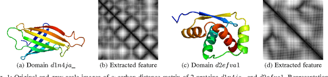 Figure 1 for A novel and effective scoring scheme for structure classification and pairwise similarity measurement