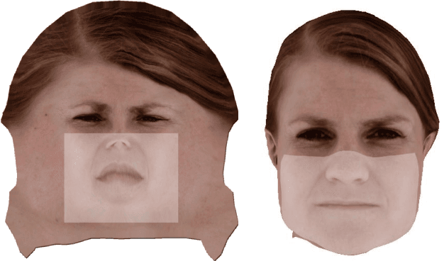 Figure 3 for Neural Face Models for Example-Based Visual Speech Synthesis