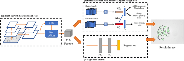 Figure 3 for DeepACC:Automate Chromosome Classification based on Metaphase Images using Deep Learning Framework Fused with Prior Knowledge