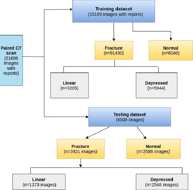 Figure 1 for Predicting skull fractures via CNN with classification algorithms