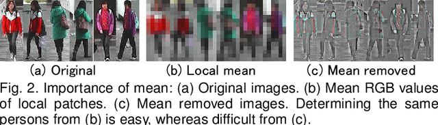 Figure 2 for Hierarchical Gaussian Descriptors with Application to Person Re-Identification