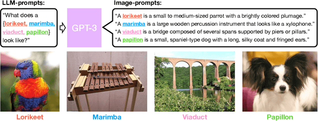 Figure 3 for What does a platypus look like? Generating customized prompts for zero-shot image classification