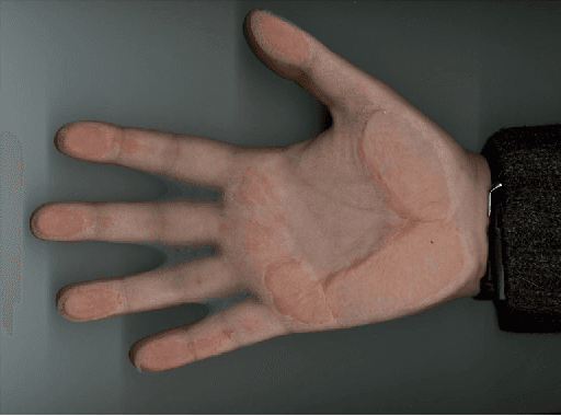 Figure 4 for Biometric identification by means of hand geometry and a neural net classifier