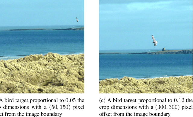 Figure 3 for An Empirical Method to Quantify the Peripheral Performance Degradation in Deep Networks