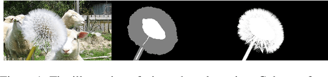 Figure 1 for Trimap-guided Feature Mining and Fusion Network for Natural Image Matting