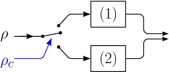 Figure 1 for Quantum parameter estimation on coherently superposed noisy channels