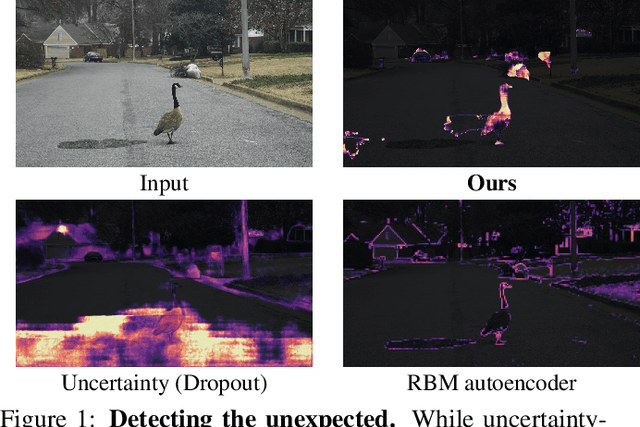 Figure 1 for Detecting the Unexpected via Image Resynthesis