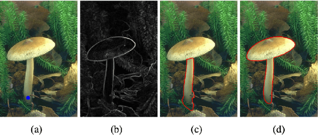 Figure 1 for Geodesic Paths for Image Segmentation with Implicit Region-based Homogeneity Enhancement