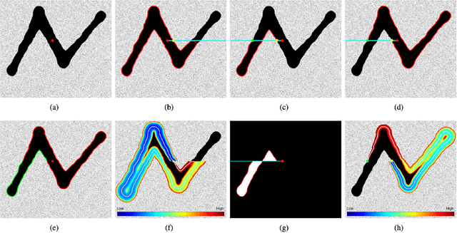 Figure 3 for Geodesic Paths for Image Segmentation with Implicit Region-based Homogeneity Enhancement